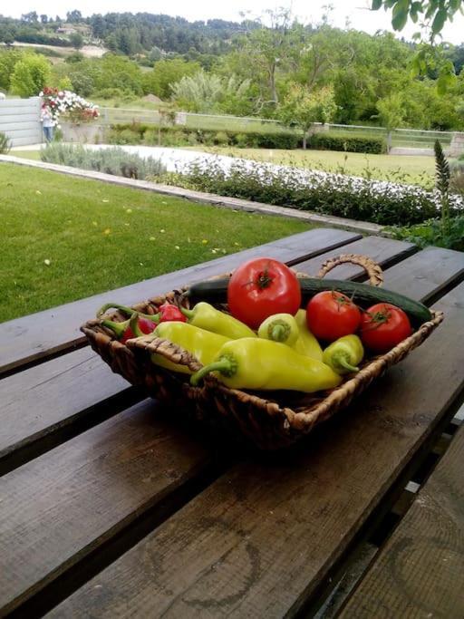 Luxury Villa Kassandrino Kassandrinón Zewnętrze zdjęcie
